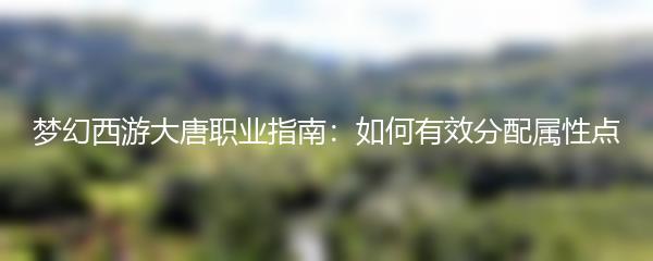 梦幻西游大唐职业指南：如何有效分配属性点