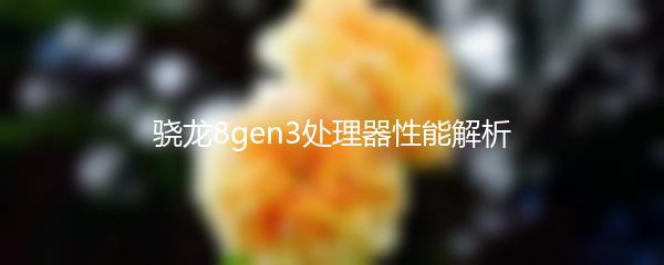 骁龙8gen3处理器性能解析