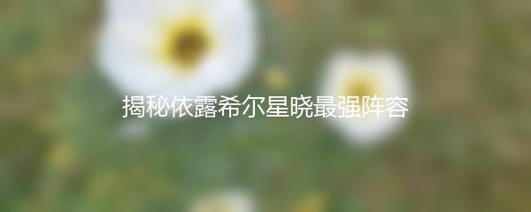 揭秘依露希尔星晓最强阵容