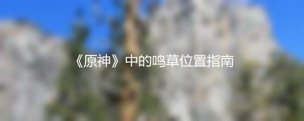 《原神》中的鸣草位置指南