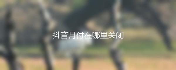 抖音月付在哪里关闭