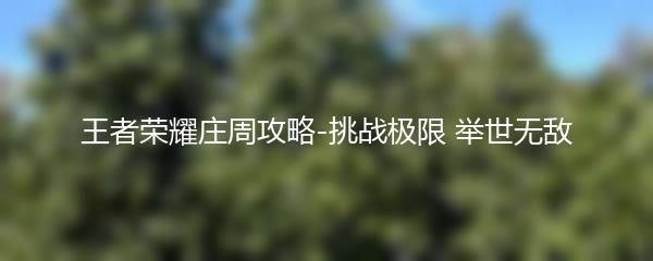 王者荣耀庄周攻略-挑战极限 举世无敌