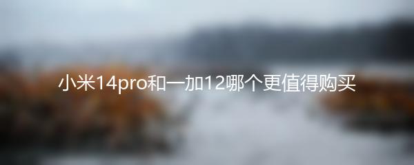 小米14pro和一加12哪个更值得购买