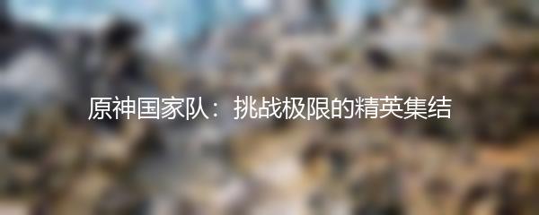 原神国家队：挑战极限的精英集结