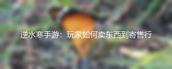 逆水寒手游：玩家如何卖东西到寄售行