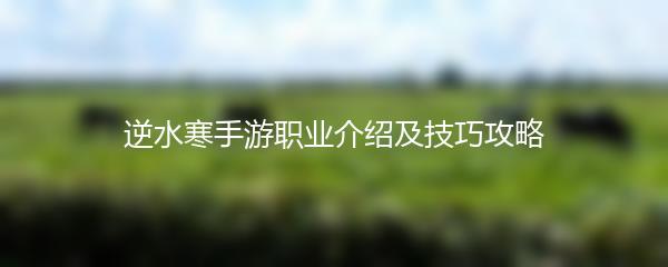 逆水寒手游职业介绍及技巧攻略