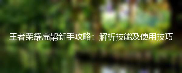 王者荣耀扁鹊新手攻略：解析技能及使用技巧