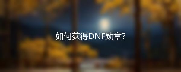 如何获得DNF勋章？