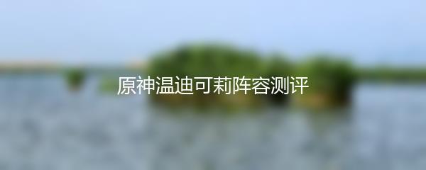 原神温迪可莉阵容测评