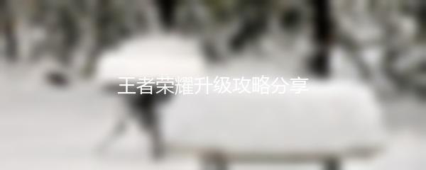 王者荣耀升级攻略分享