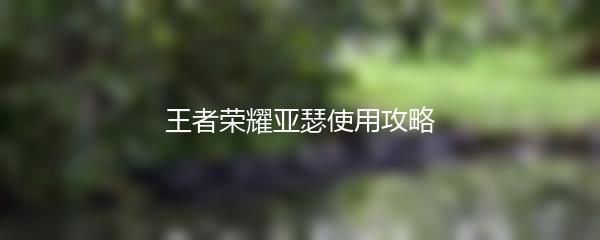 王者荣耀亚瑟使用攻略