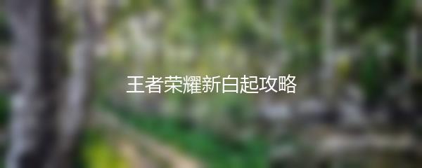 王者荣耀新白起攻略