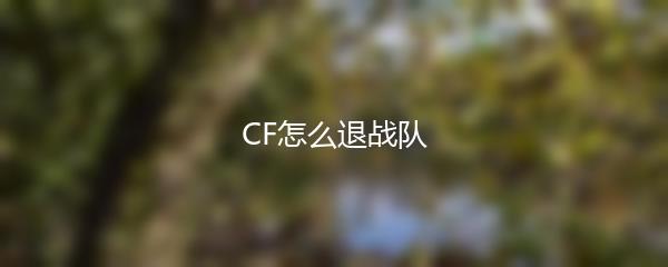 CF怎么退战队