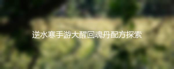 逆水寒手游大醒回魂丹配方探索