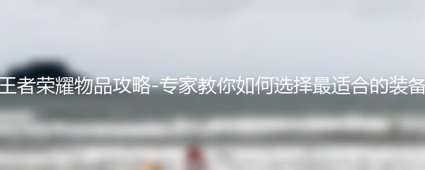 王者荣耀物品攻略-专家教你如何选择最适合的装备