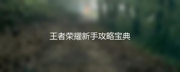 王者荣耀新手攻略宝典