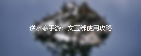 逆水寒手游：文玉绑使用攻略