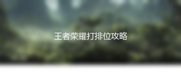 王者荣耀打排位攻略