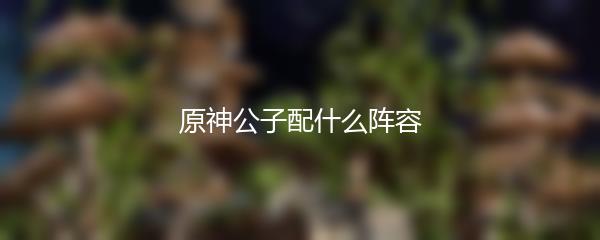 原神公子配什么阵容