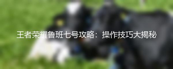 王者荣耀鲁班七号攻略：操作技巧大揭秘