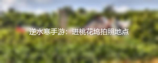 逆水寒手游：进桃花坞拍照地点