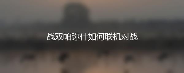 战双帕弥什如何联机对战