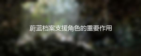 蔚蓝档案支援角色的重要作用