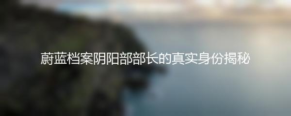 蔚蓝档案阴阳部部长的真实身份揭秘