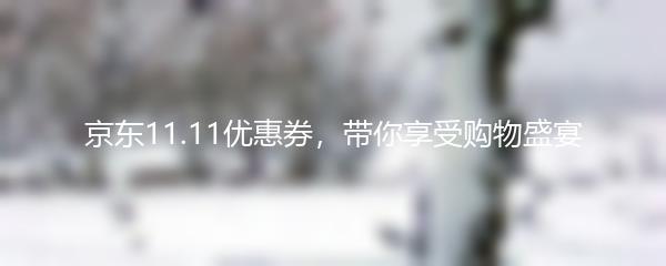 京东11.11优惠券，带你享受购物盛宴