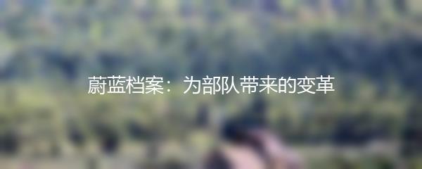 蔚蓝档案：为部队带来的变革