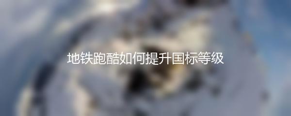 地铁跑酷如何提升国标等级