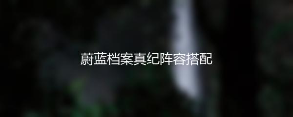 蔚蓝档案真纪阵容搭配