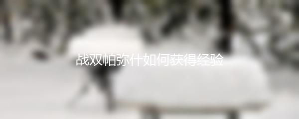 战双帕弥什如何获得经验