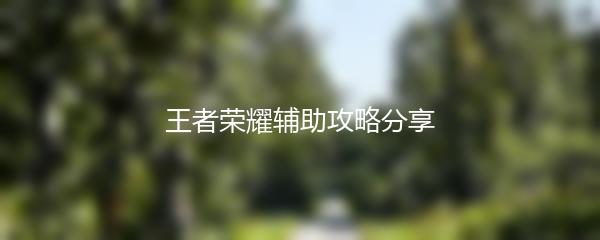 王者荣耀辅助攻略分享