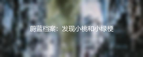 蔚蓝档案：发现小桃和小绿梗