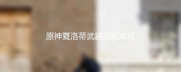 原神夏洛蒂武器搭配攻略