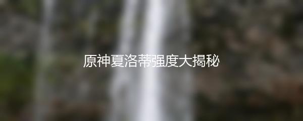 原神夏洛蒂强度大揭秘