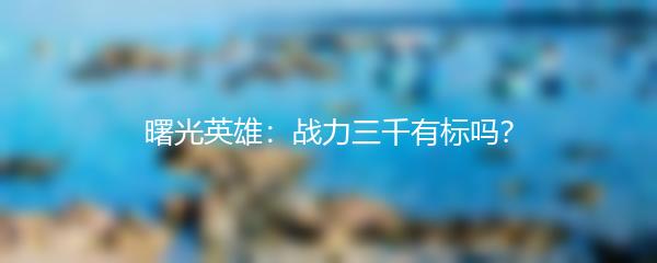曙光英雄：战力三千有标吗？