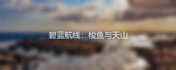 碧蓝航线：梭鱼与天山
