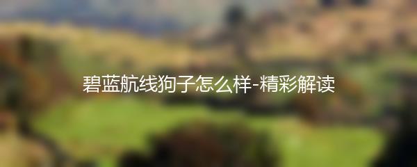 碧蓝航线狗子怎么样-精彩解读
