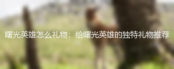 曙光英雄怎么礼物：给曙光英雄的独特礼物推荐