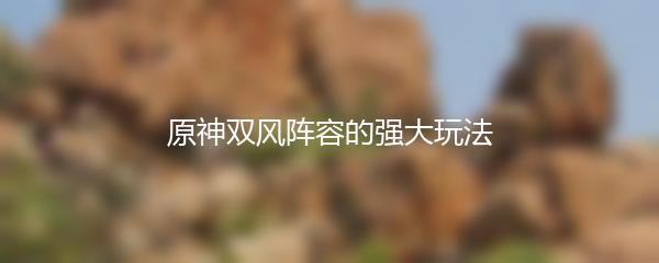 原神双风阵容的强大玩法