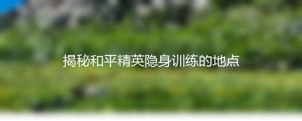 揭秘和平精英隐身训练的地点