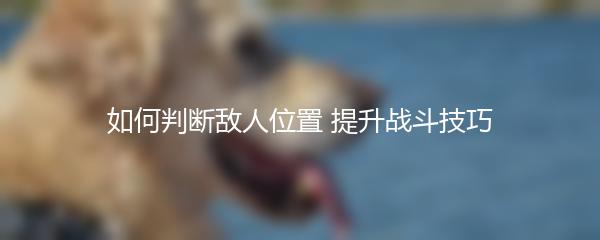 如何判断敌人位置 提升战斗技巧