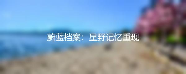 蔚蓝档案：星野记忆重现