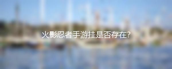 火影忍者手游挂是否存在？