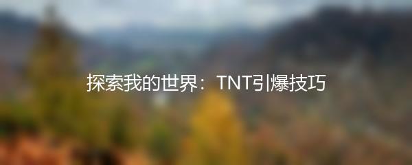 探索我的世界：TNT引爆技巧