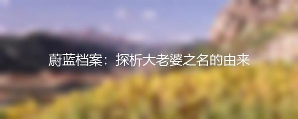 蔚蓝档案：探析大老婆之名的由来