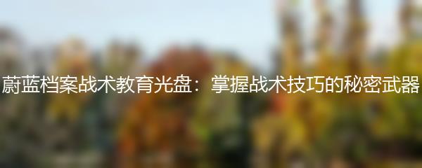 蔚蓝档案战术教育光盘：掌握战术技巧的秘密武器