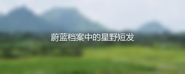 蔚蓝档案中的星野短发